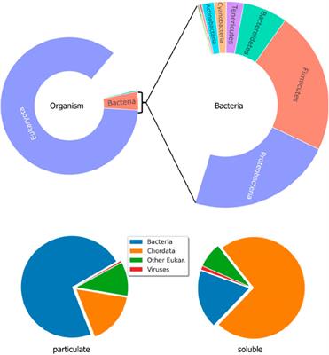 Simultaneous determination of small molecules and proteins in wastewater-based epidemiology
